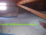 tempelan