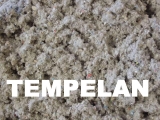 tempelan