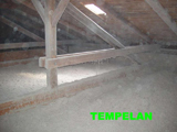tempelan