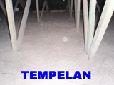 tempelan