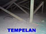 tempelan