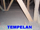 tempelan
